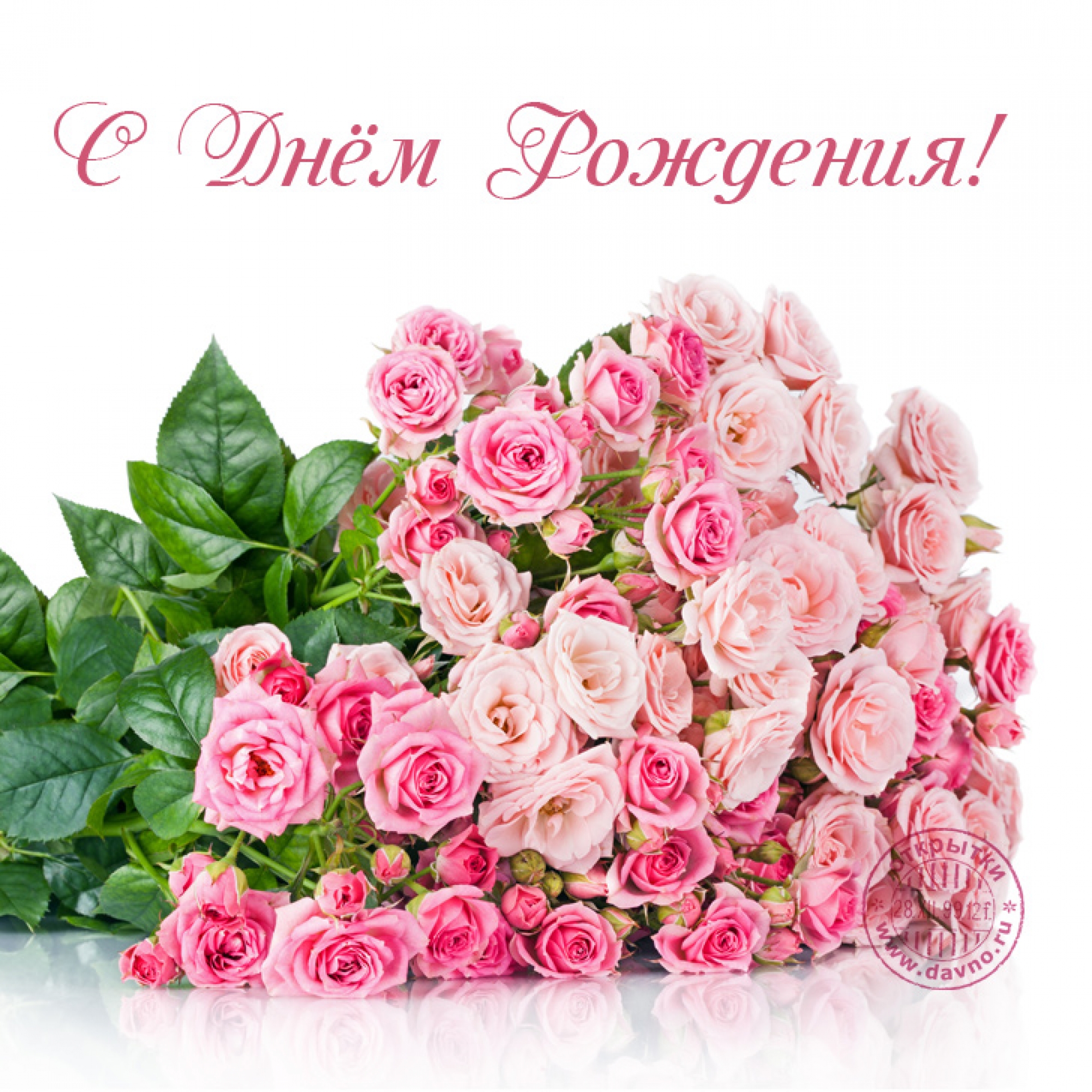 Поздравляем  Светлану Васильевну Павлючик с Днём Рождения!!!